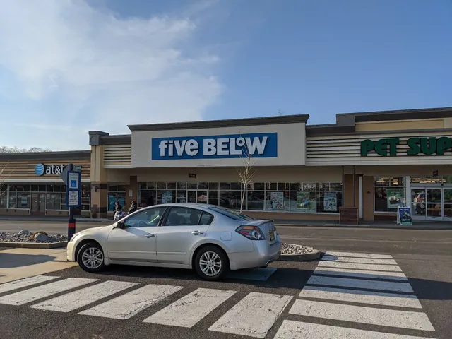 Ellisburg Shopping Center