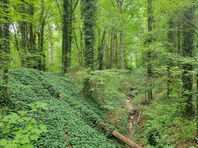 Marshview Park (Southside)