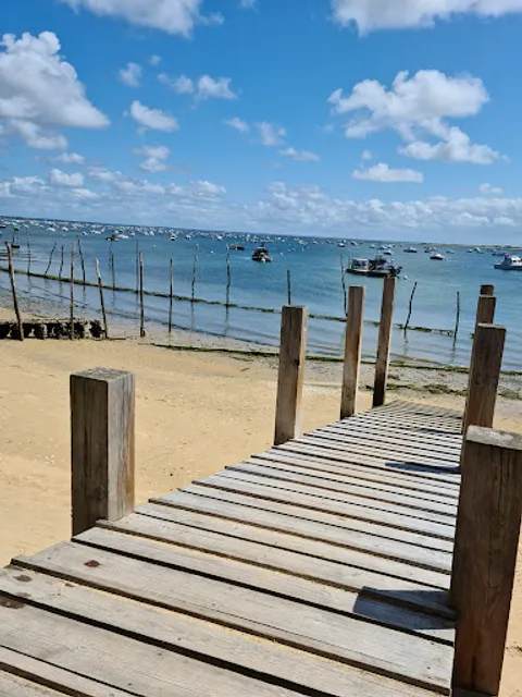Restaurant Huîtres Cap Ferret : Cabane 57
