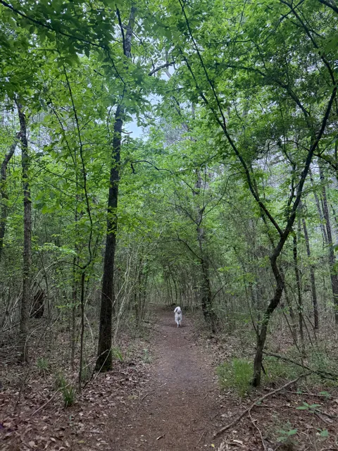 Lone Star Hiking Trail - Trailhead # 11