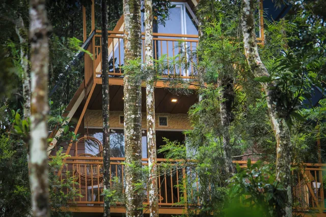 Bodhi Hut (Premium Hut Stay ,Vythiri ,Wayanad)