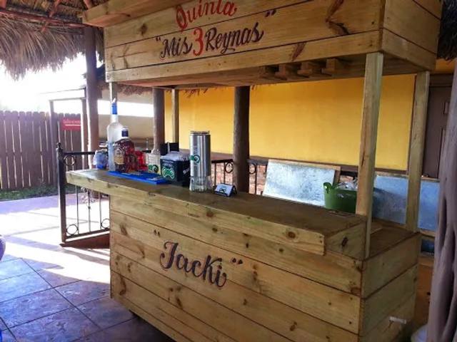 Señor Frog Bartending