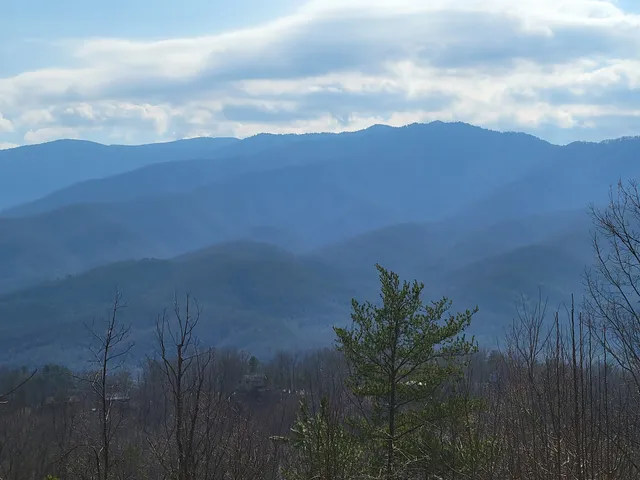 About The Smokies
