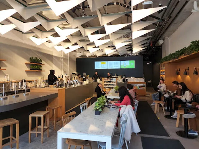 Pilot Coffee Roasters