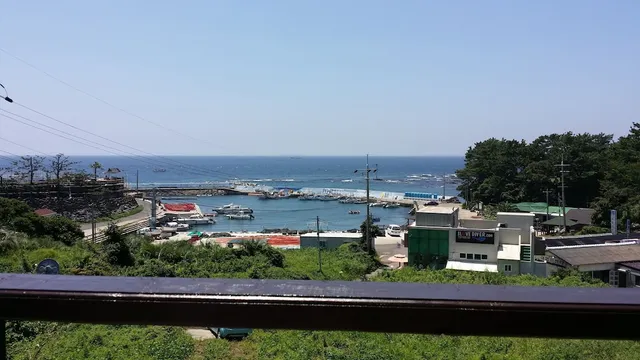 Doldam B&B 돌담에 꽃 머무는집