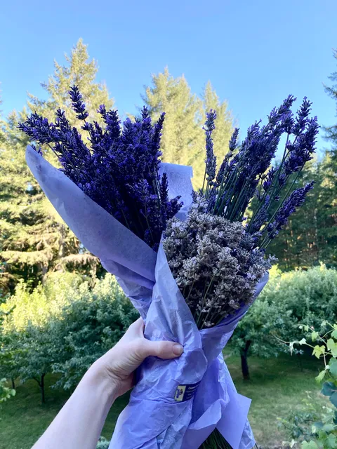 Chehalem Flats Farm Market