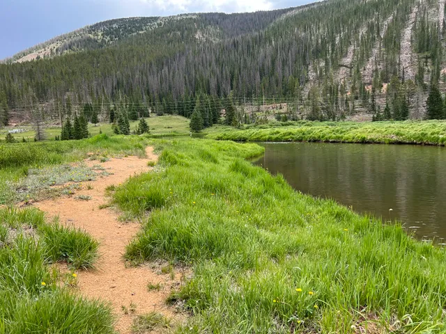 Pike and San Isabel National Forest