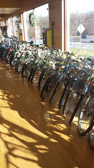 In Gear Cycling & Fitness