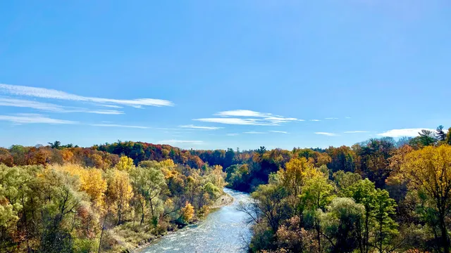 The Riverwood Conservancy