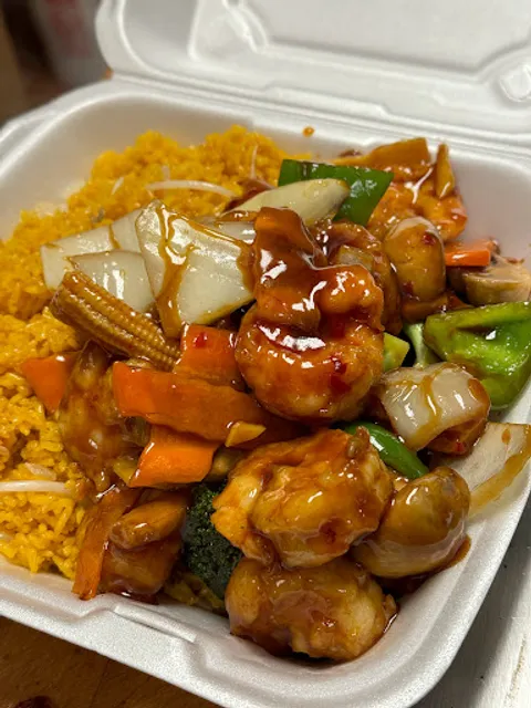 Halal Fusion 2 Chelten avenue