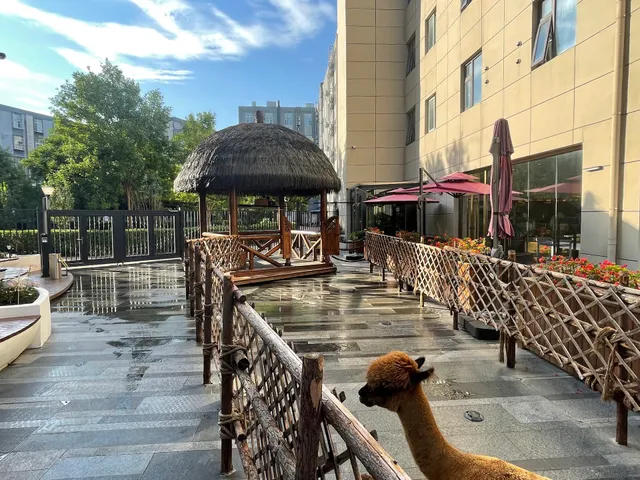 Airport Yuanhang International Hotel Beijing