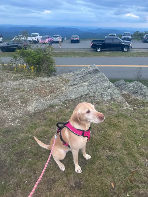 Watauga Humane Society