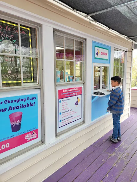 Knightdale Pelican's Snoballs