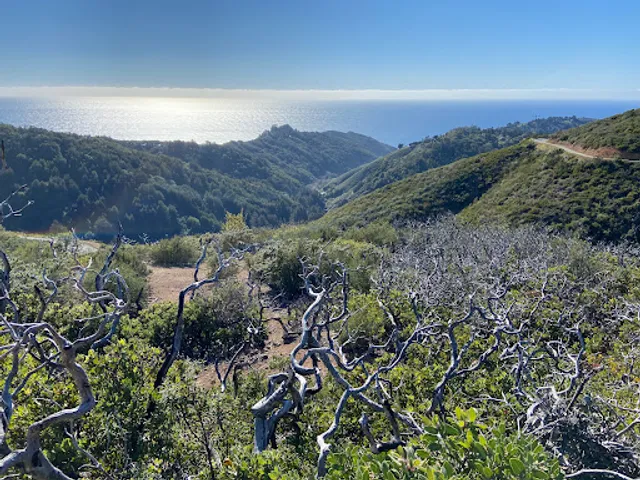 Buzzards Roost Viewpoint