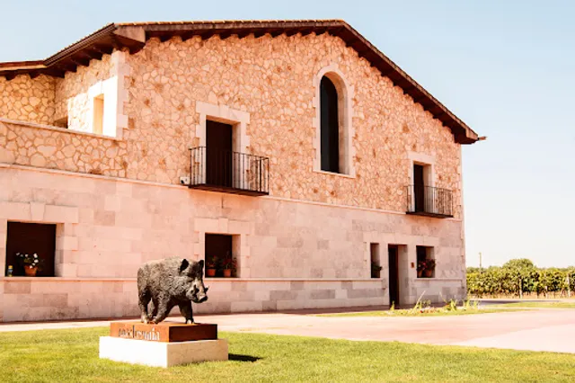 Bodega y viñedos Divina Proporción S.L.