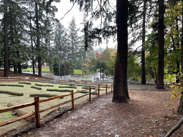 Mt Tabor Park Off-Leash Dog Area
