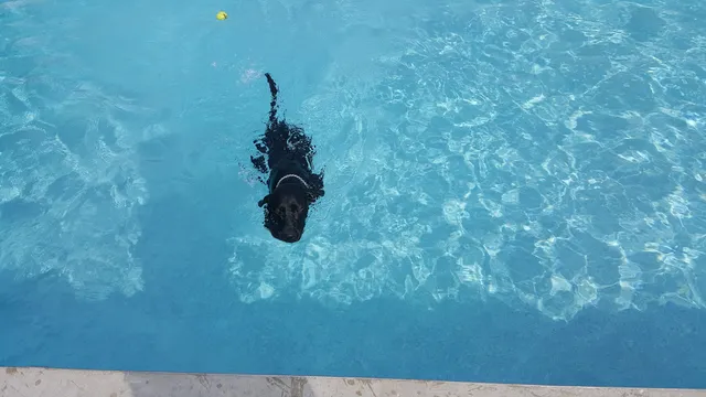 Buffalo Center Swimming Pool