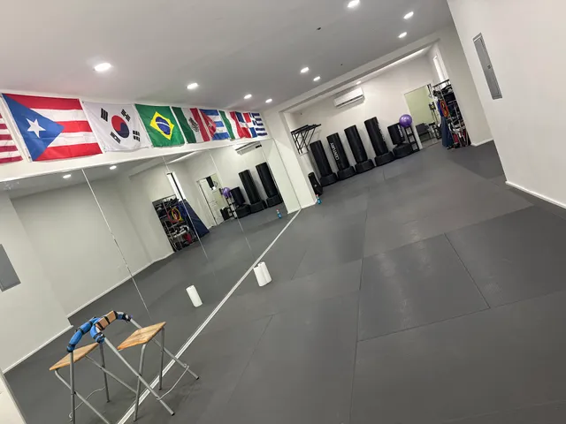 Johnny Karate NYC / JMA Brazilian jiu jitsu