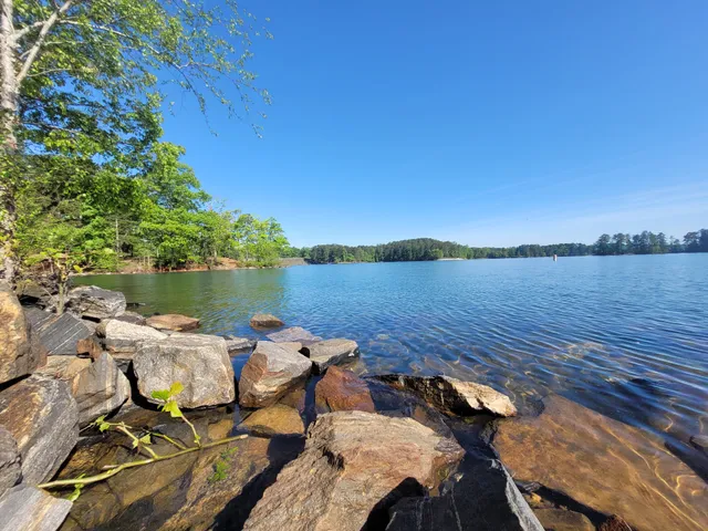 Lake Lanier picnic free area