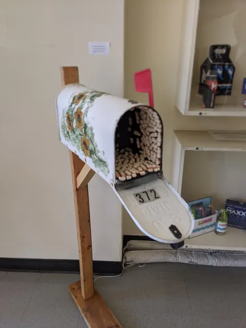 University Art Gallery