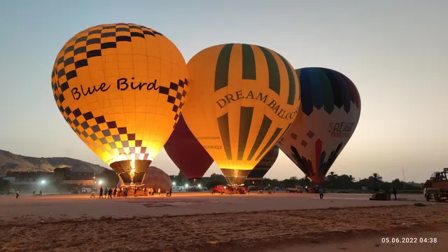Paradise Balloons