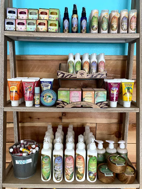 Beach Please Drink Company