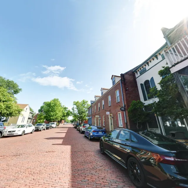 Canine Cookies N Cream Dog Bakery