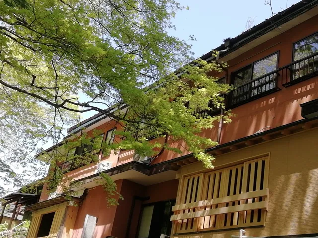 Natural carbonated spring Sengakukan