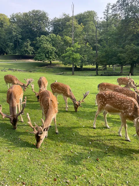 Marselisborg Deer Park