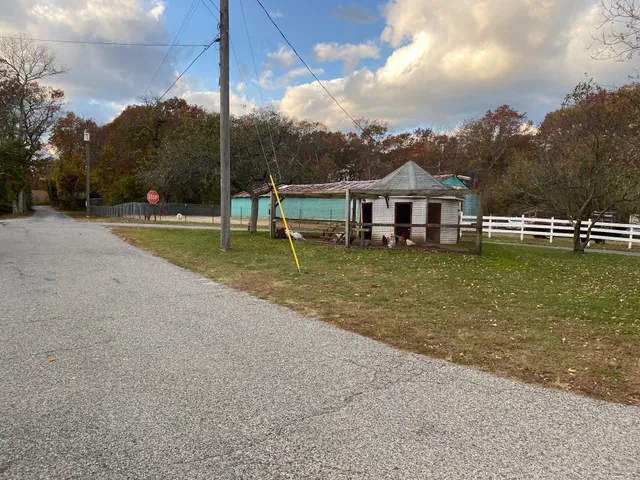Raleigh's Poultry Farm