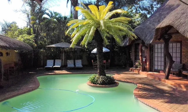 Trees Too Guest Lodge