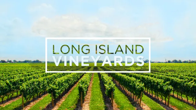 Wine Tours Long Island