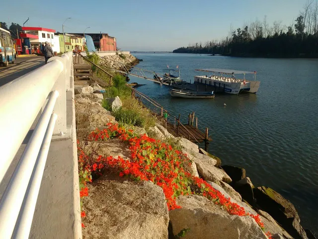 Alojamiento Refugio Guanay