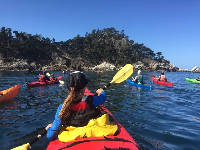 Kayak Connection