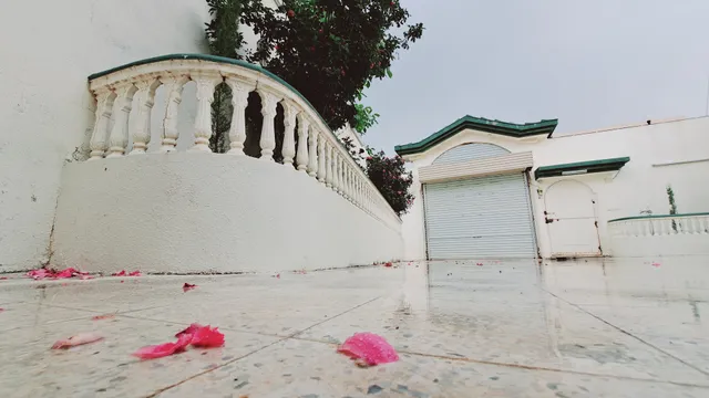 بيت عطلة الباحة