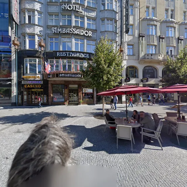 Václavské nám. 839/7