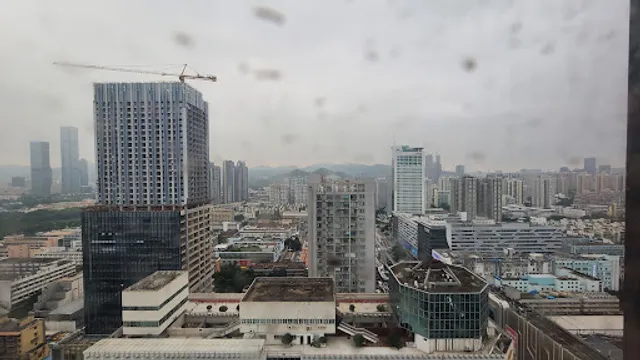 Hyatt Palace Shenzhen Airport Br