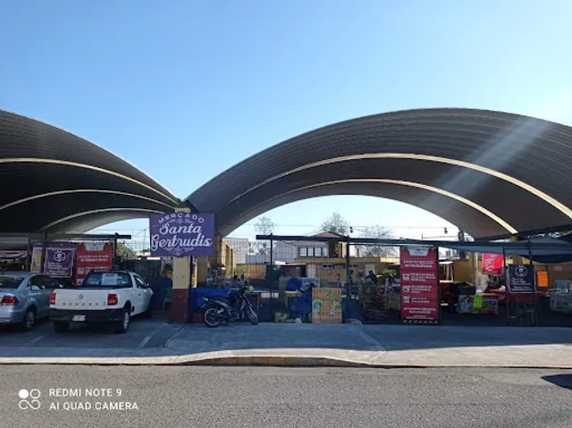 Alitos tacos de canasta