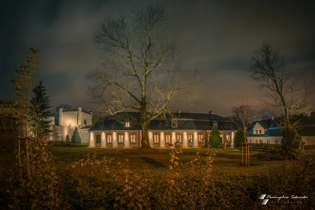 Zieliński Mansion - Creative Environment House