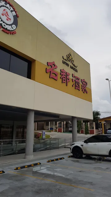 Restaurante Lotus Kitchen