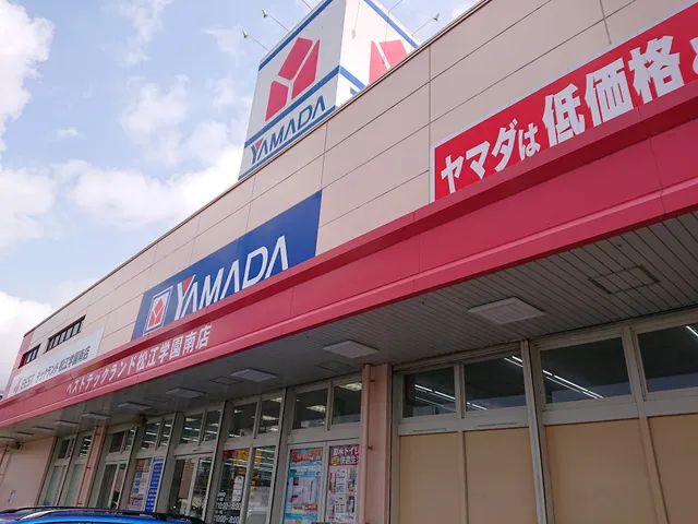 Yamada Denki