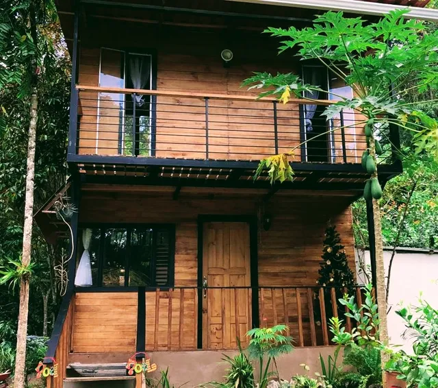 Papaya Wildlife Lodge