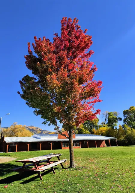 Oakley's Cattlemen Hall