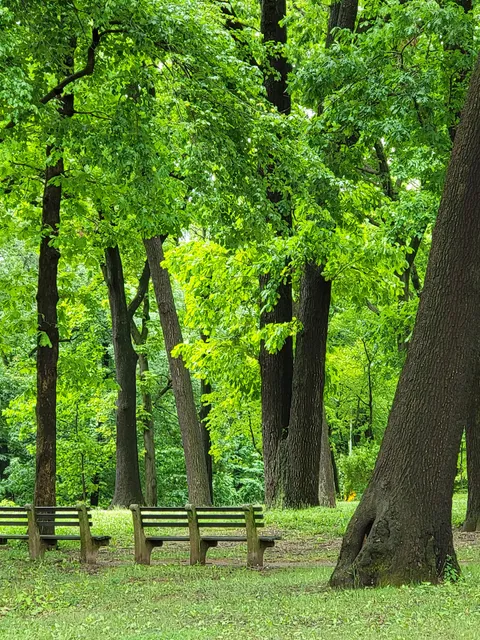 Forest Park Visitor Center