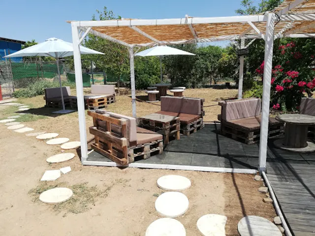 Bar EL CANTINERO COPAS