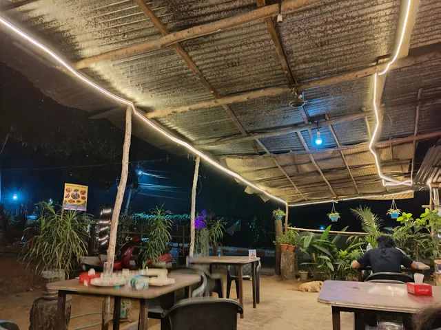 Golden tiger. What's up