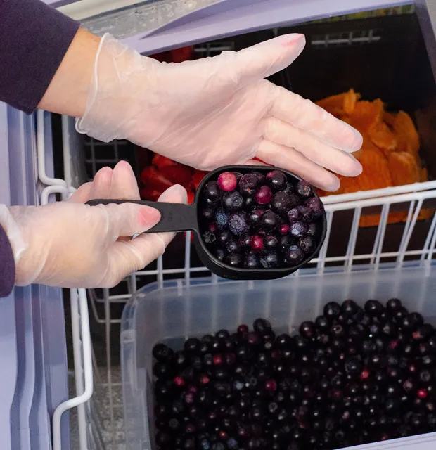 Project LeanNation Springdale