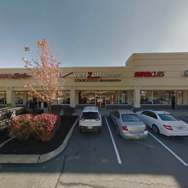 Verizon Business Services