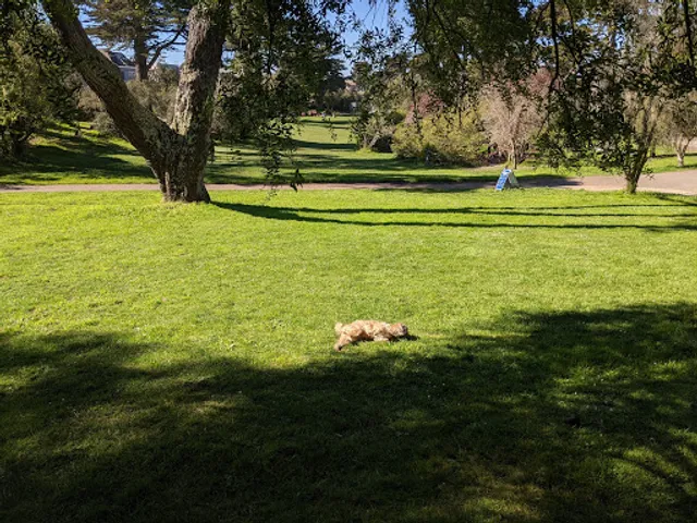 Mountain Lake 10th Ave Picnic Meadow