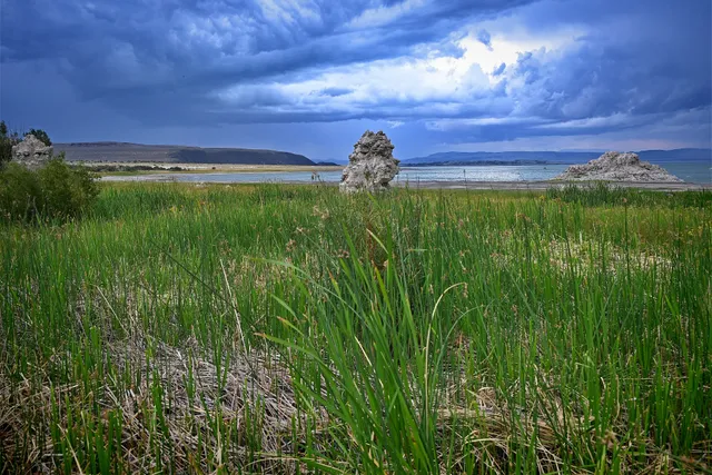 Mono Lake Trail David Gaines boardwalk